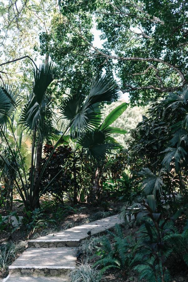Star Mountain Jungle Lodge & Horse Ranch Malpais Exterior photo